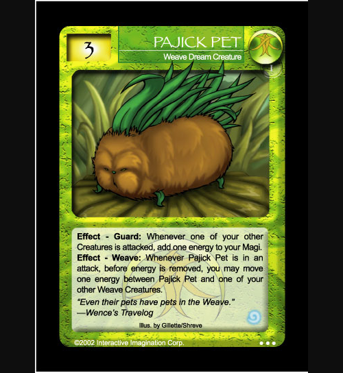 Pajick Pet